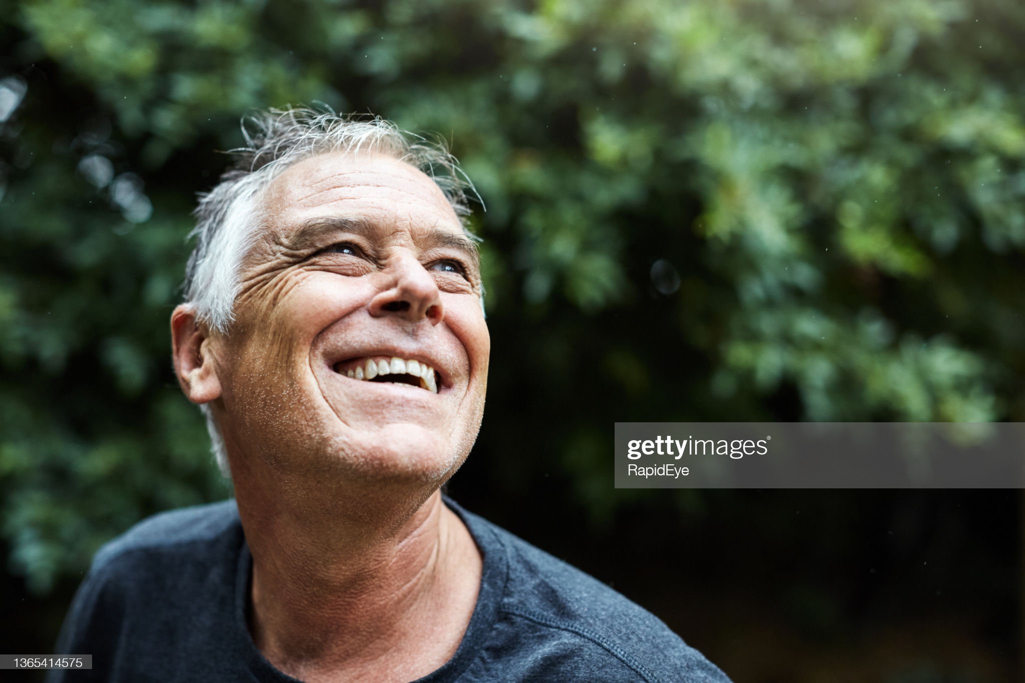 alternakh akfh afhkjadk