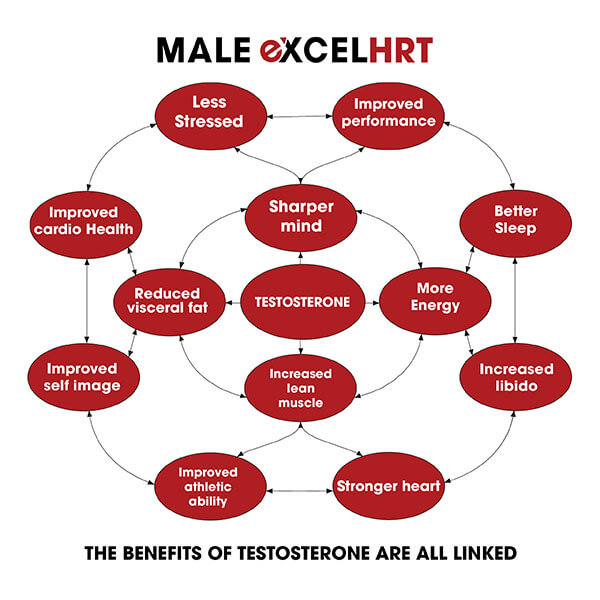 Graph showing how the benefits of testosterone are all linked