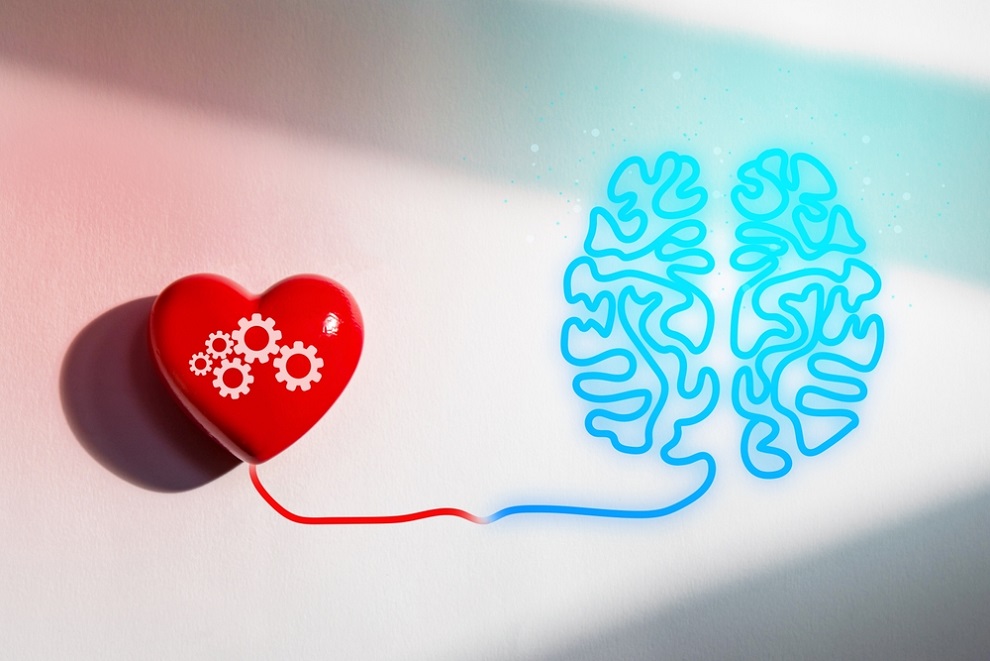 HRV-and-wellbeing-red-heart-and-blue-brain-connected-symbolizing-balance-between-emotional-and-logical-thinking