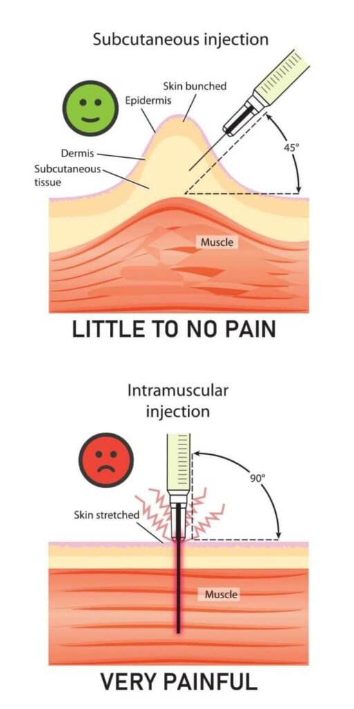 Injecting Testosterone Into Fat Vs Muscle Daily Testosterone Injections vs Weekly | Male Excel